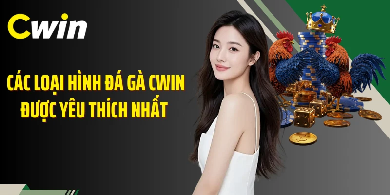 Các loại hình đá gà Cwin được yêu thích nhất 