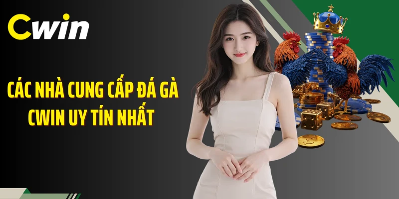 Các nhà cung cấp đá gà Cwin uy tín nhất 