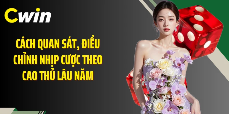 Cách quan sát, điều chỉnh nhịp cược theo cao thủ lâu năm