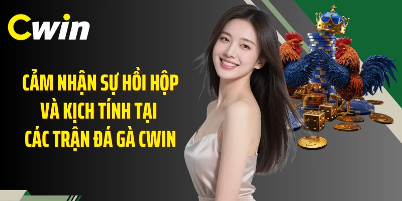 Cảm nhận sự hồi hộp và kịch tính tại các trận đá gà Cwin
