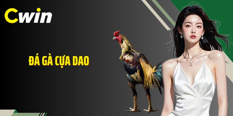 Đá Gà Cựa Dao Cwin: Nơi Trận So Tài Trở Nên Gay Cấn, Khốc Liệt