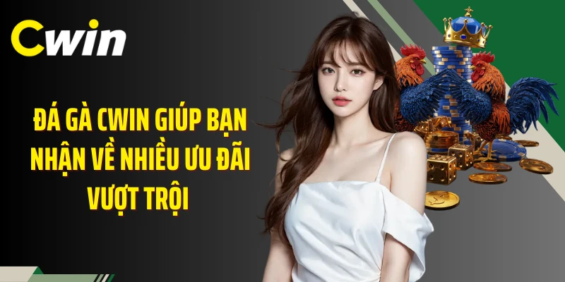Đá gà Cwin giúp bạn nhận về nhiều ưu đãi vượt trội 