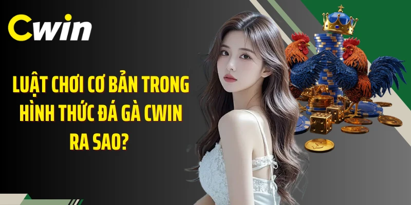 Luật chơi cơ bản trong hình thức đá gà Cwin ra sao? 