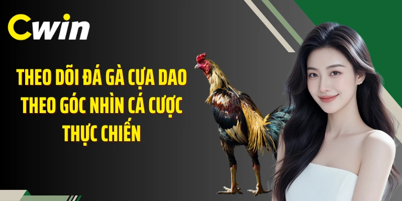 Theo dõi đá gà cựa dao theo góc nhìn cá cược thực chiến