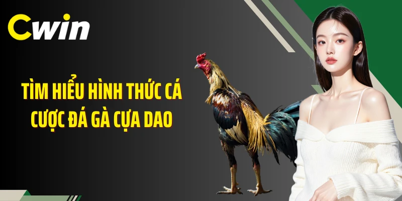 Tìm hiểu hình thức cá cược đá gà cựa dao