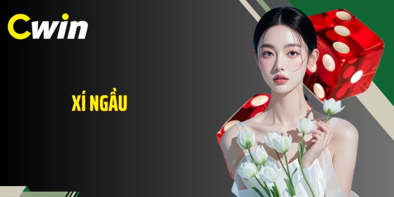 Xí Ngầu Và Những Biến Số Quyết Định Thắng Thua Trên Bàn Cược