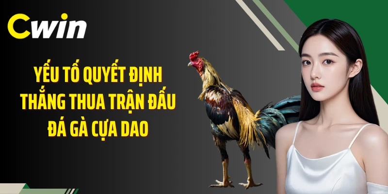 Yếu tố quyết định thắng thua trận đấu đá gà cựa dao